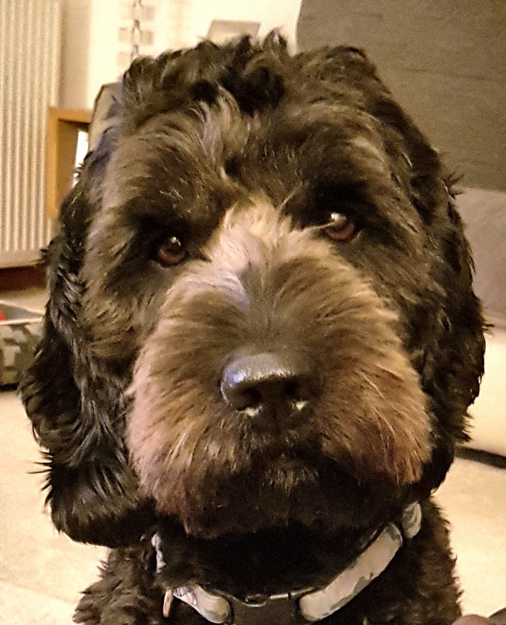 Max