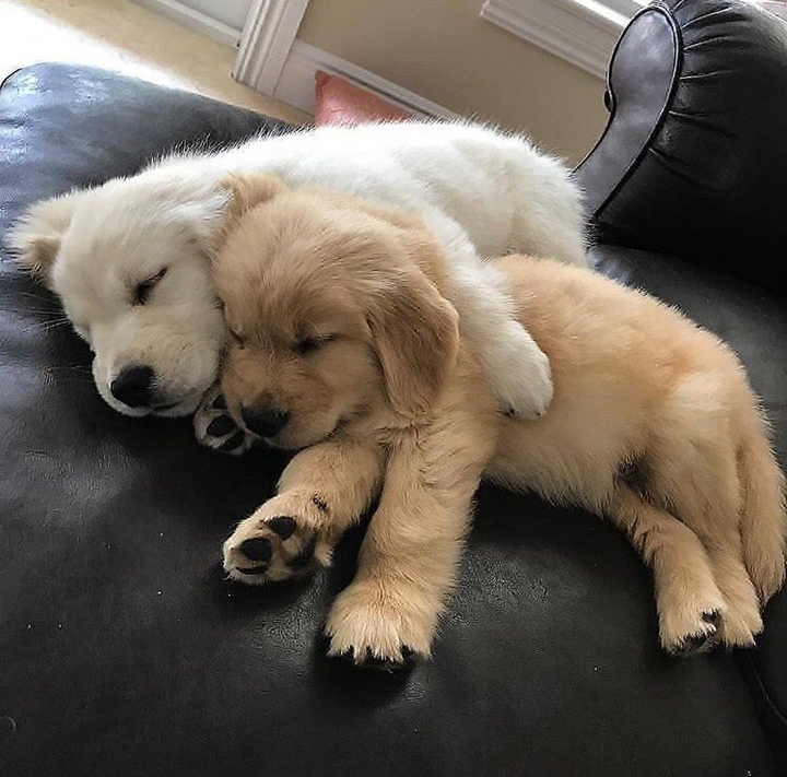 friends