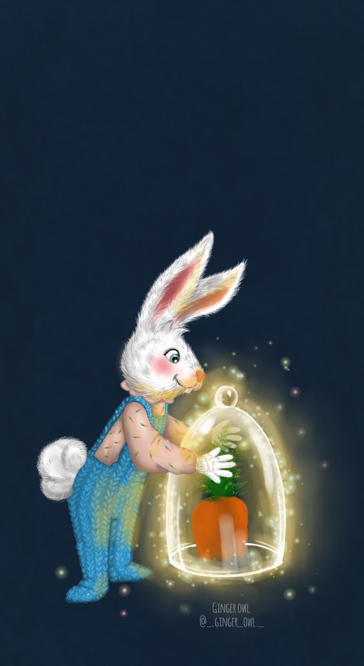 Rabbit
