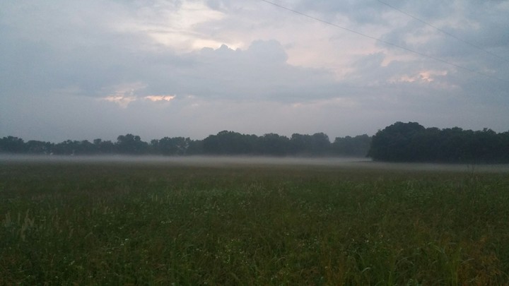 Kentucky Morning