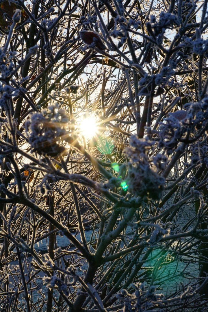 winter morning