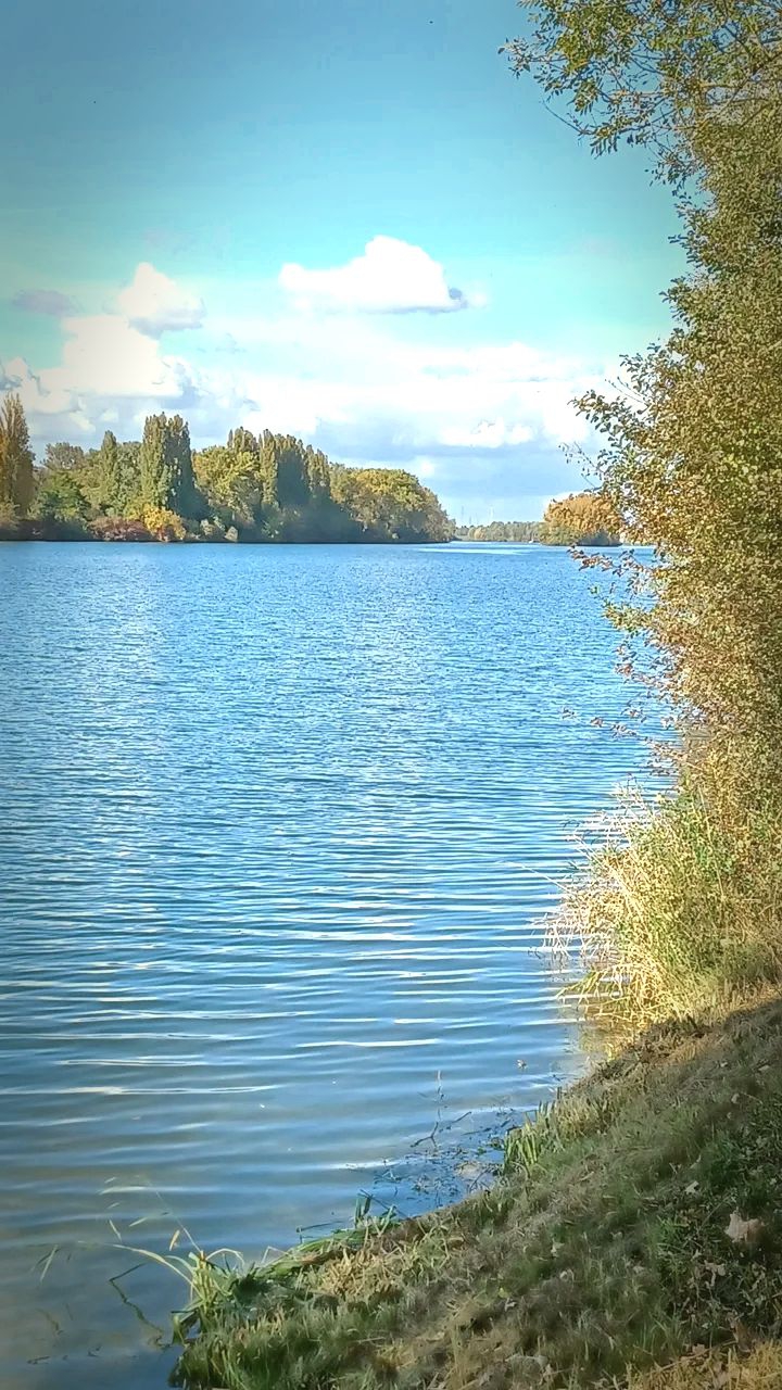 Rhein