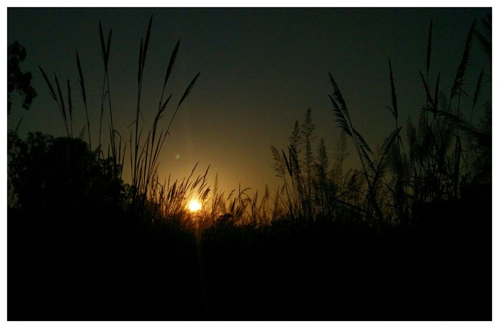 sunrise