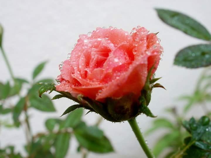 love u all ,dear frnds O.      G.       Q
