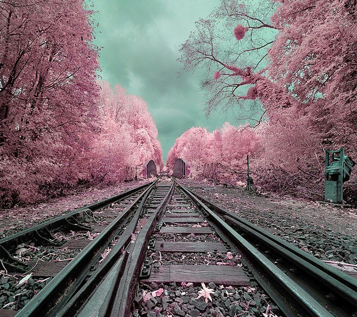 I ♡ Fantasty Land