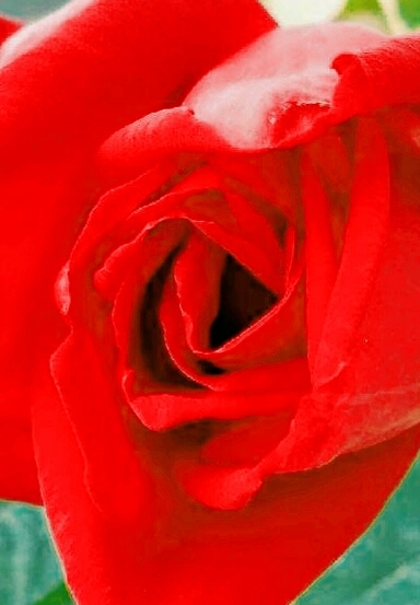 Lovely