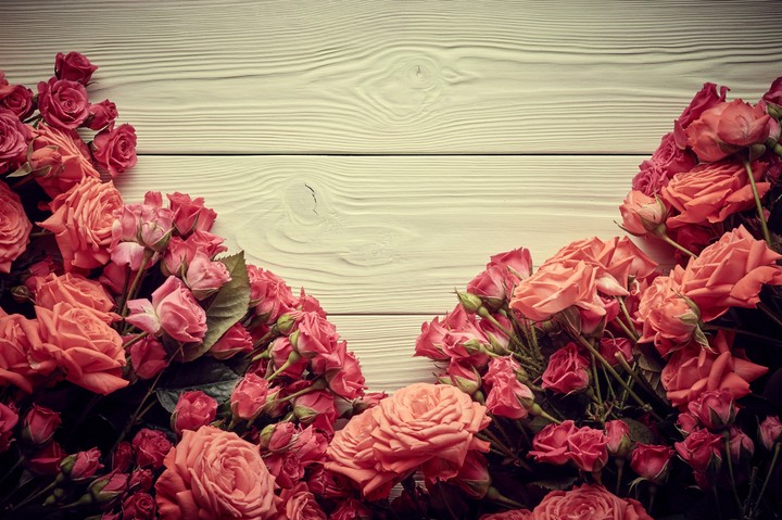 roses