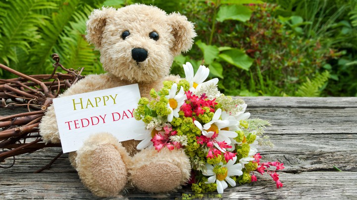 TEDDY DAY