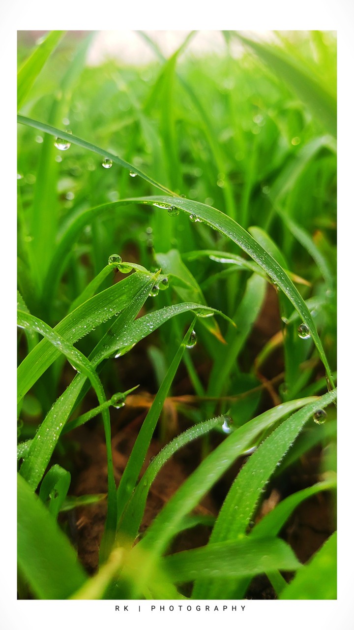 water drop
