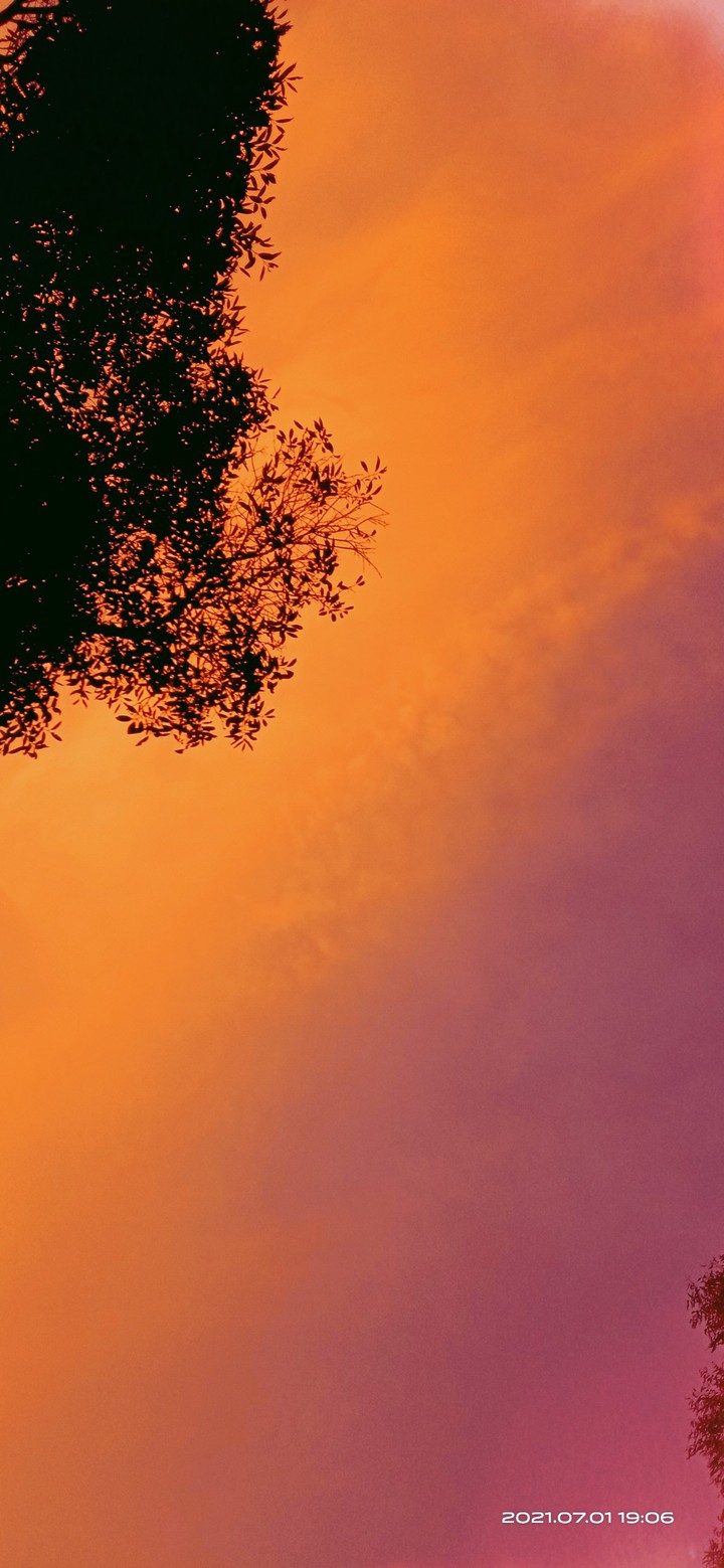 nature