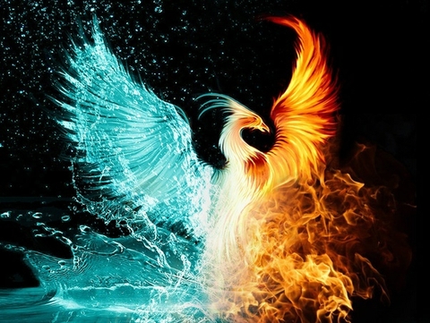 pheonix