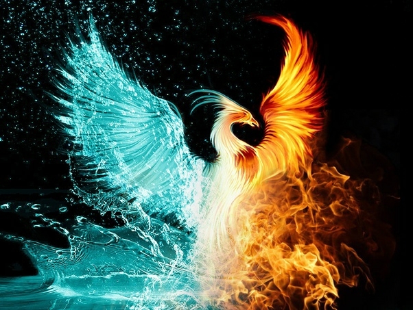 pheonix