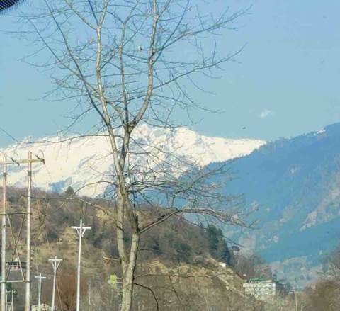 Nature
