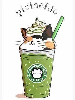котик