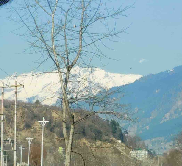 Nature