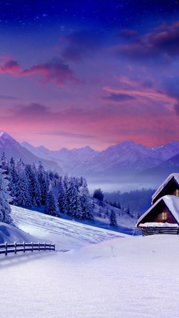 nice winter