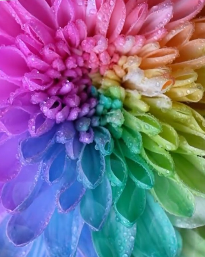 Water drops