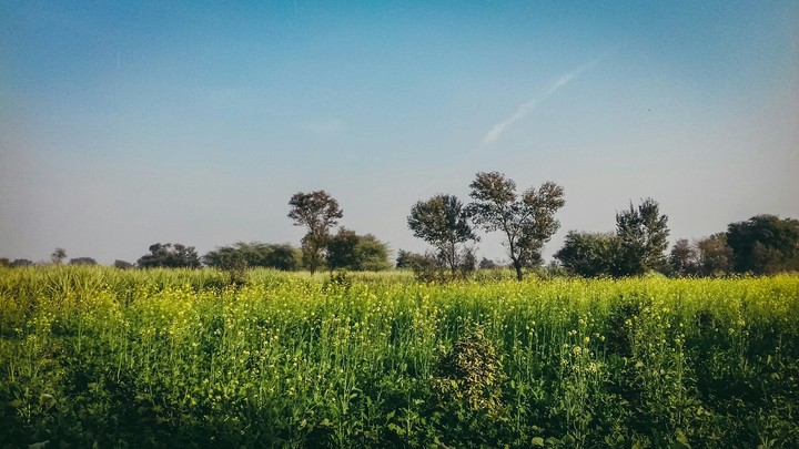 Village