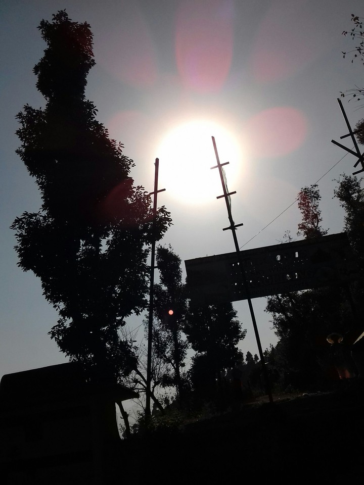N_A_T_U_R_E
