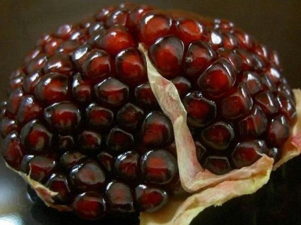pomegranate