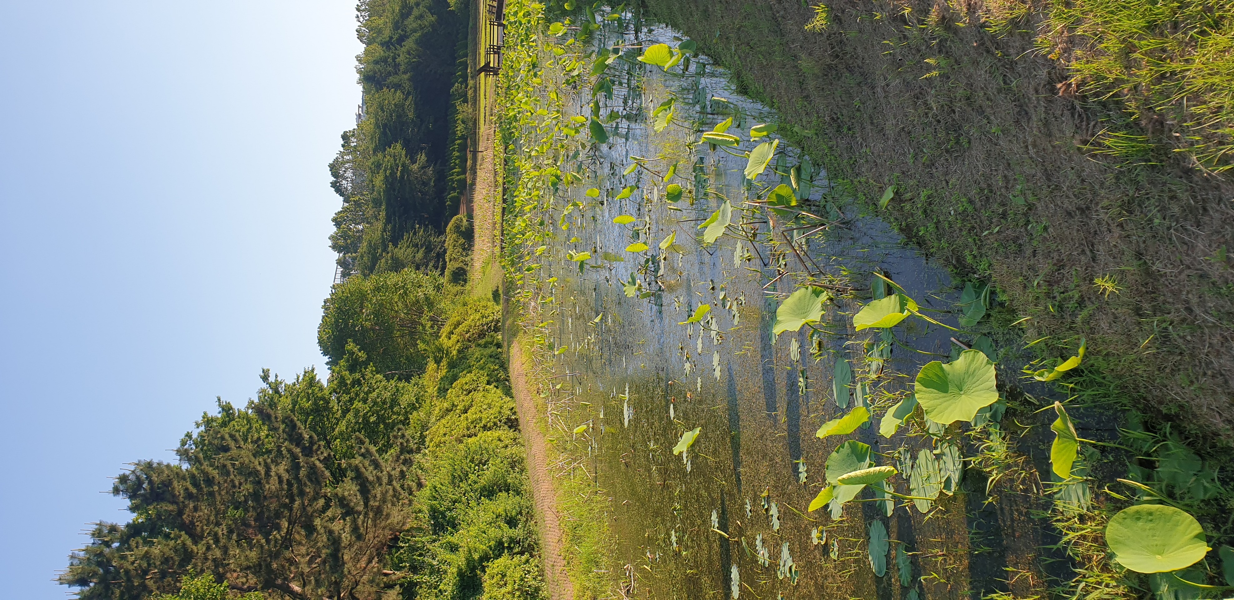Nature