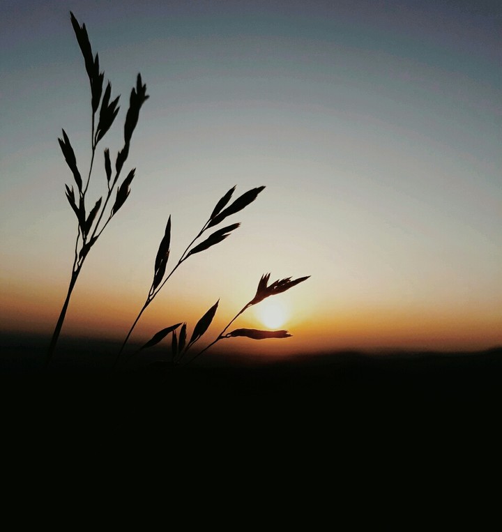 Sonnenuntergang