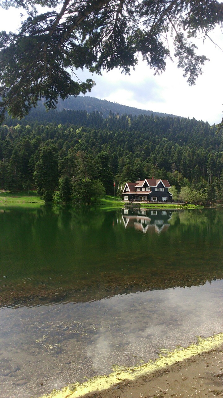 #bolu