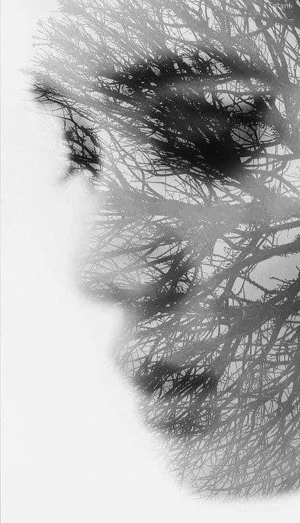 APO