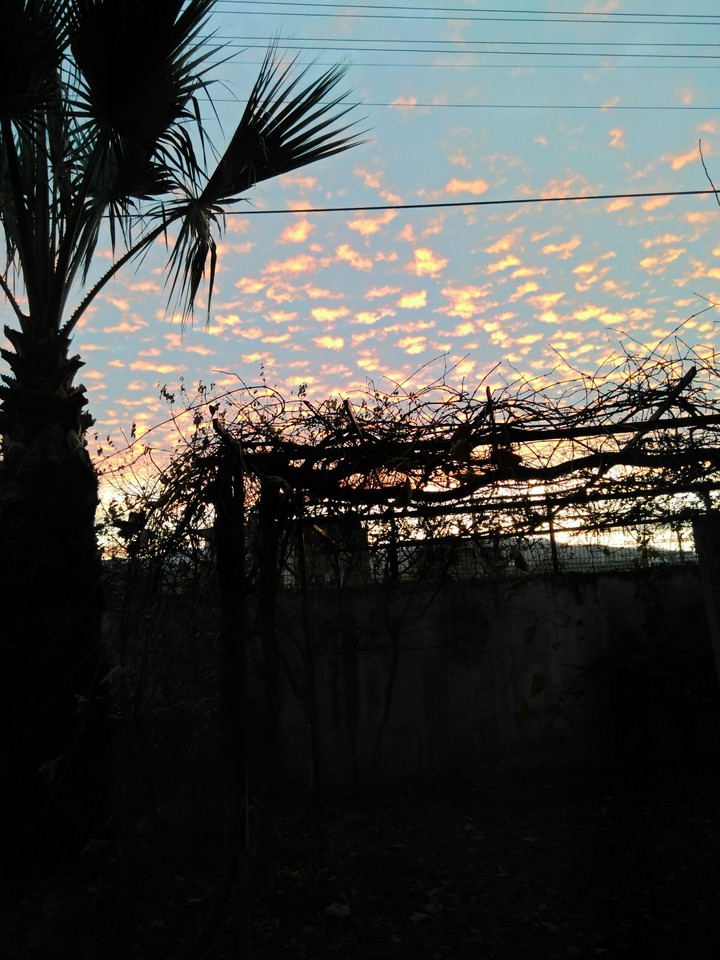 Red clouds