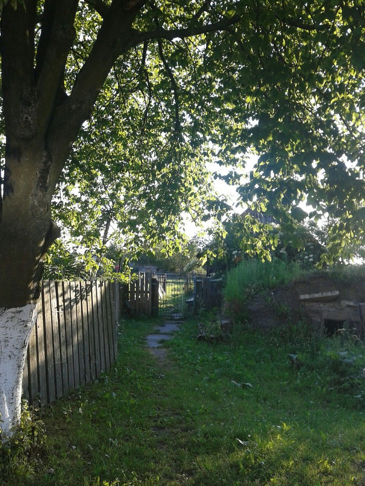 tree