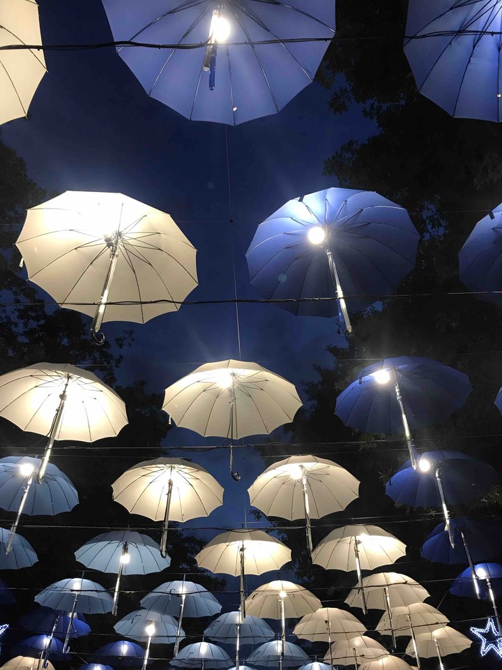 beautiful umbrella