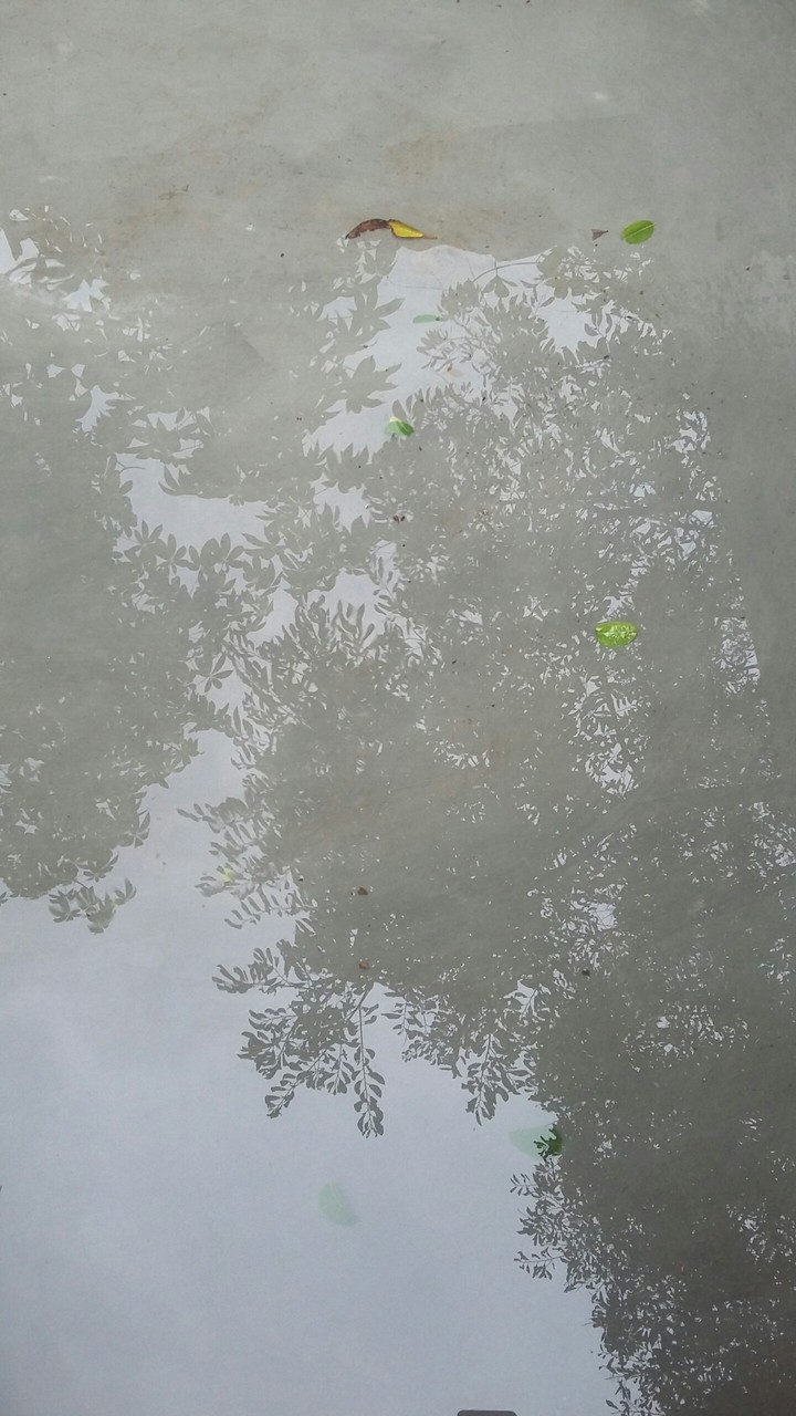 water