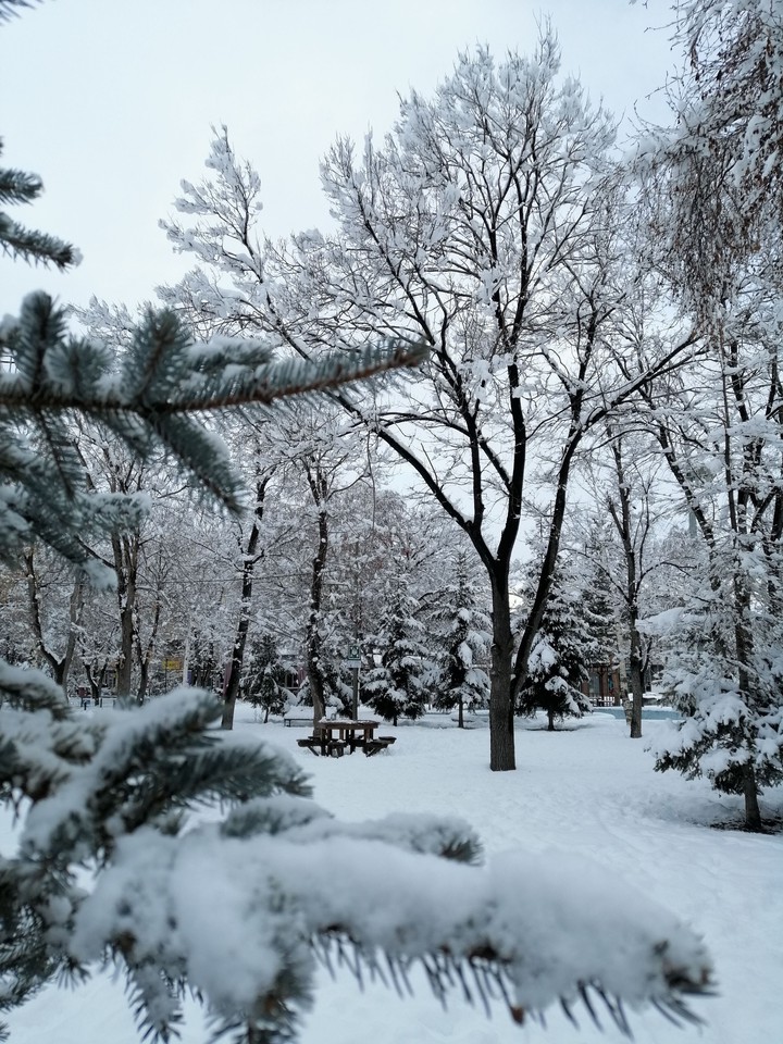 Snow