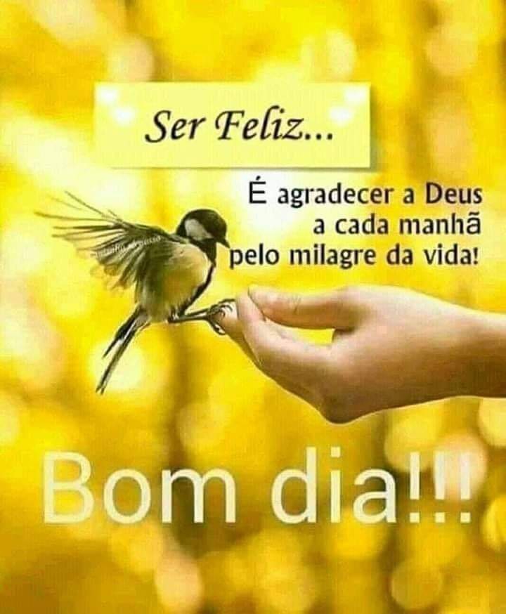 Aos meus queridos amigos do coração bjs.