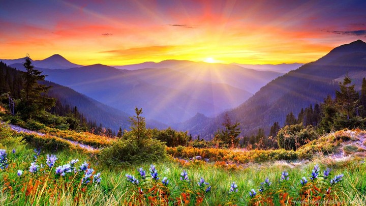 Sunrise 2