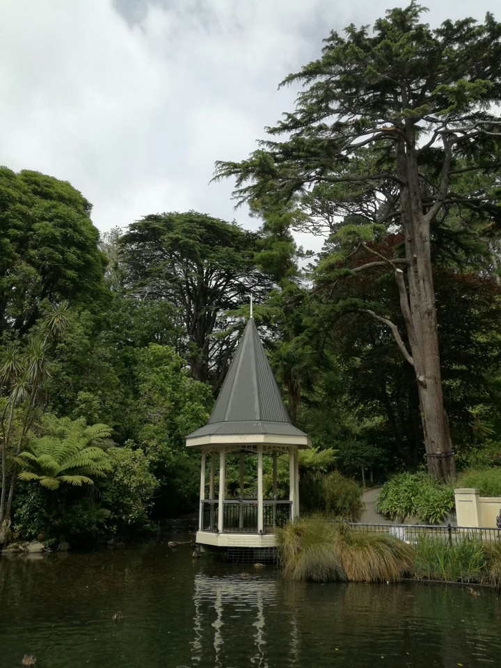 Duck pond