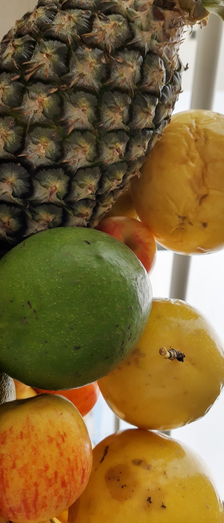 Fruit