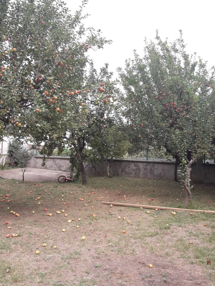 Köy