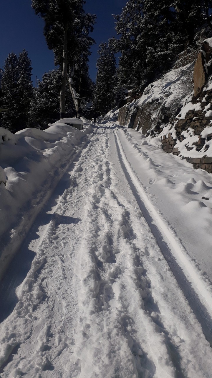 white path