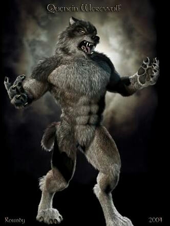 Wolf