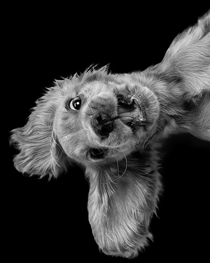 hi there