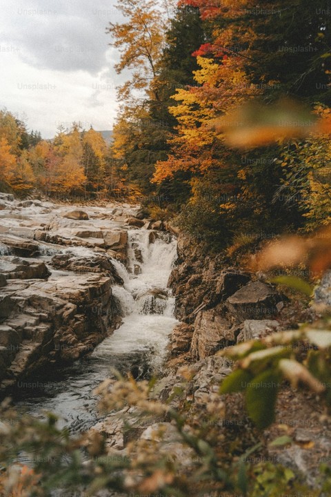 tapety forest, Rock