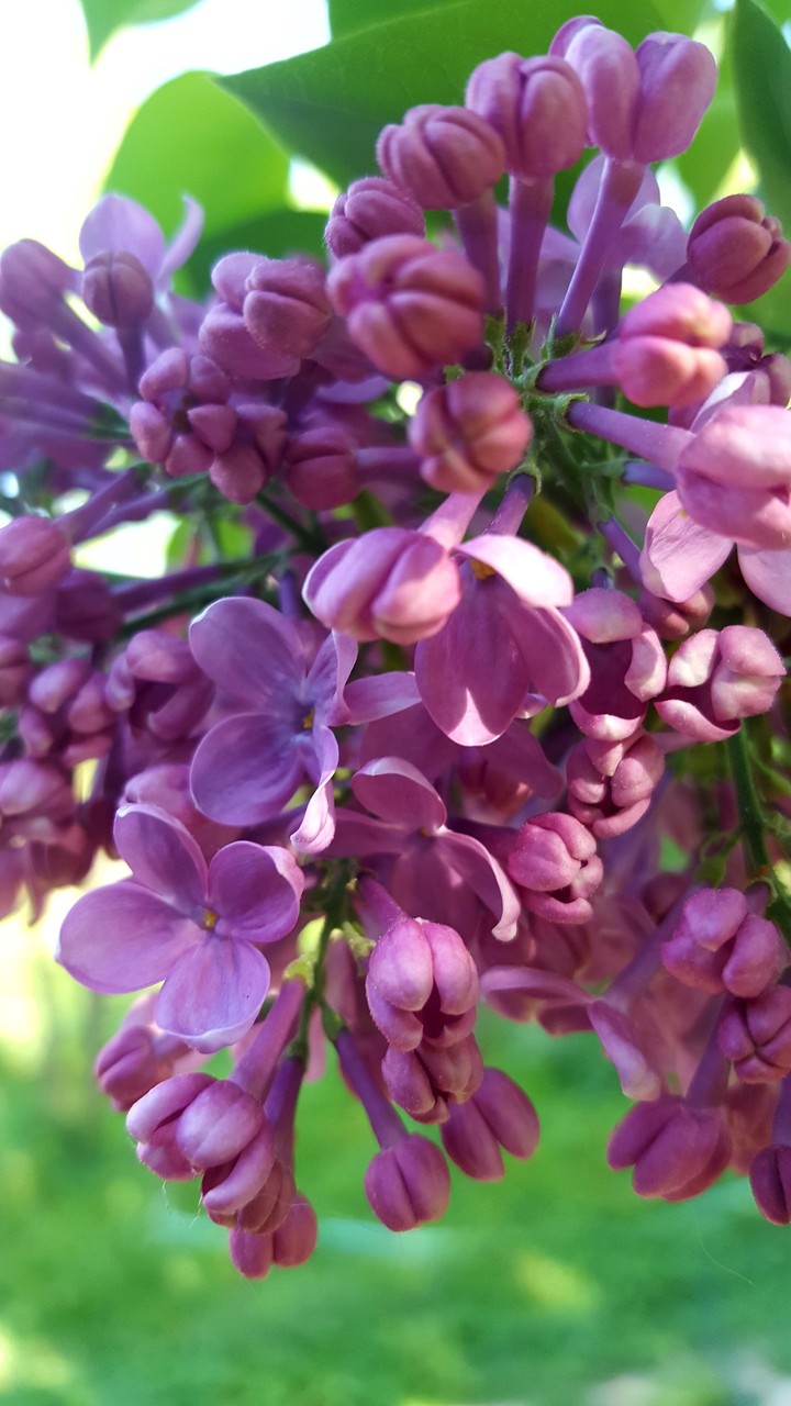 April wonders