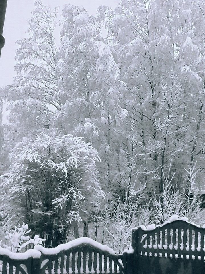 ❄❄❄