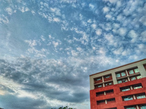 Skies