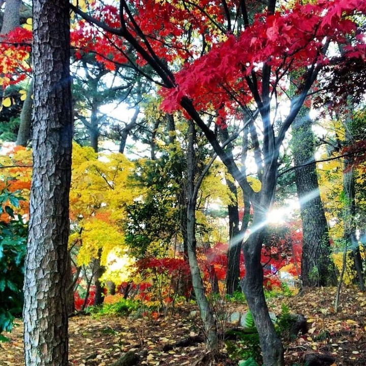 Nature