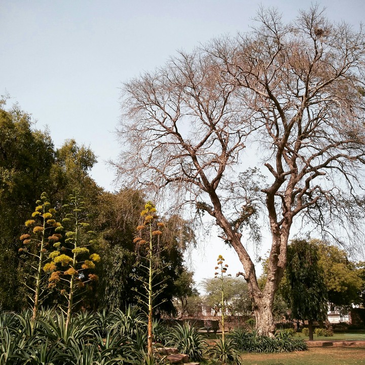 Dry with Green