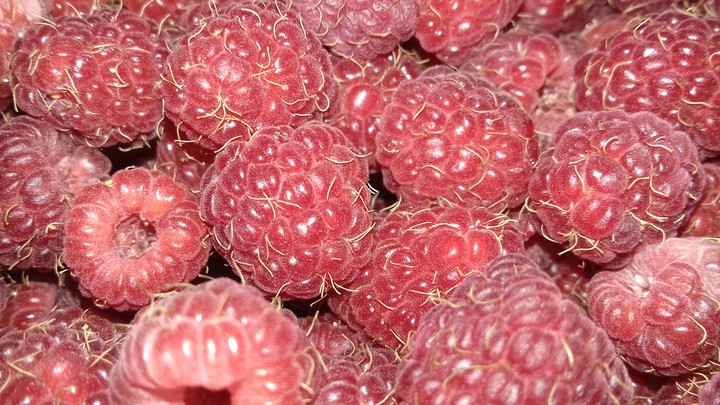 Tasty summer/вкусное лето