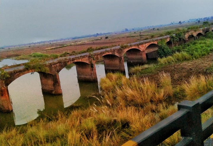#bridge