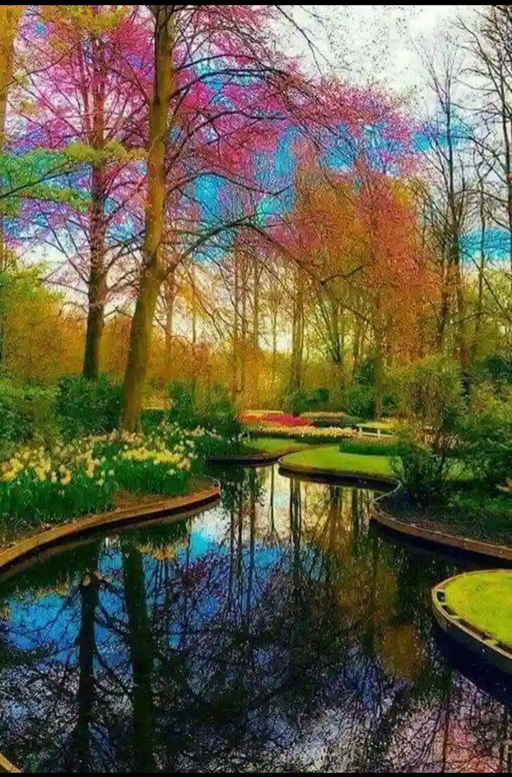beautiful view